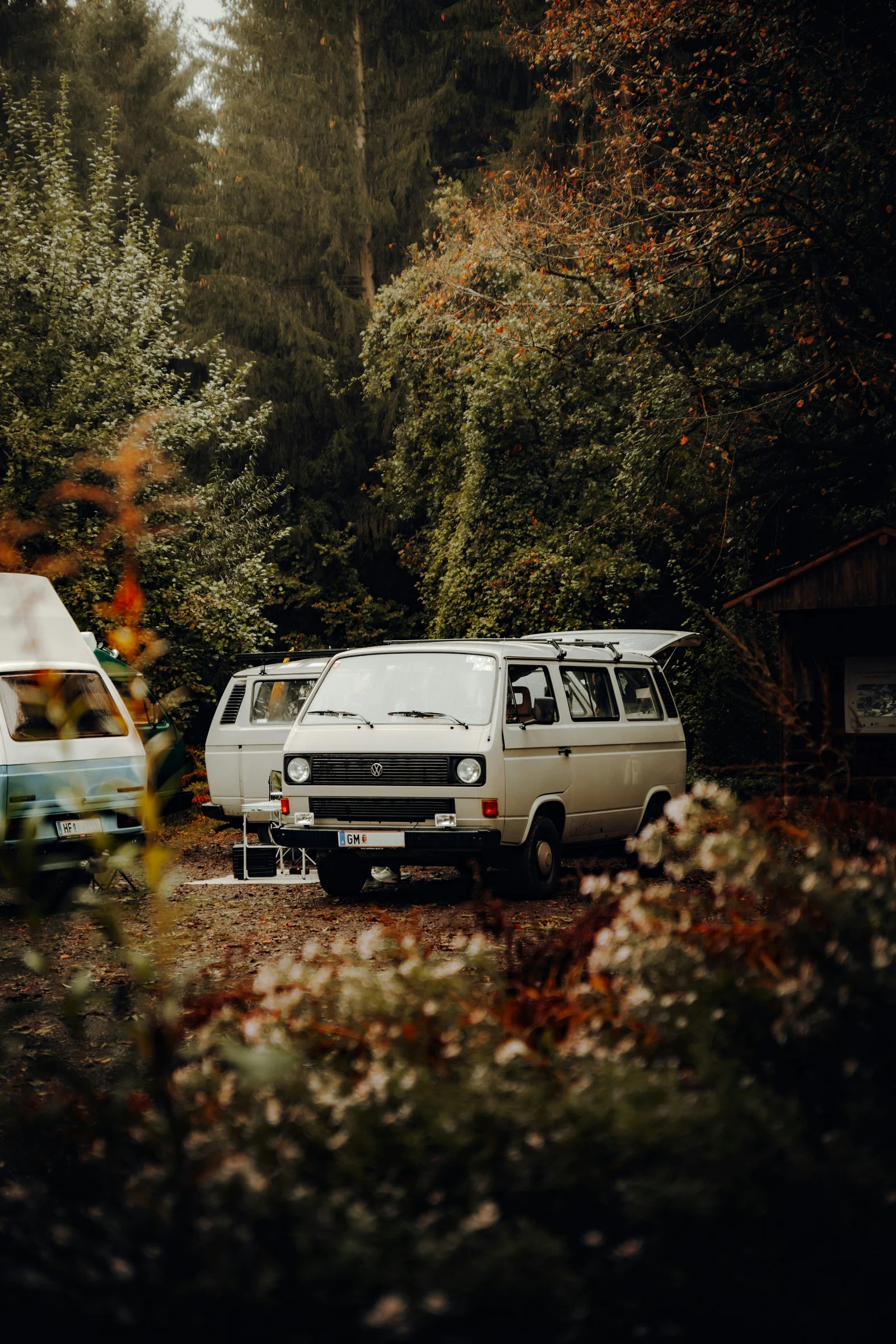 Klassische Campervans im herbstlichen österreichischen Wald geparkt
