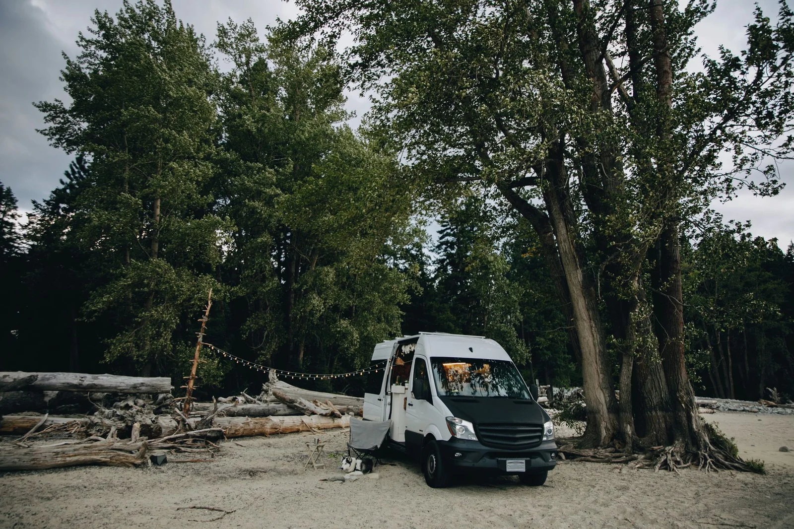 Weißer Camper-Van mit geöffneter Schiebetür steht bei Tageslicht am Waldrand